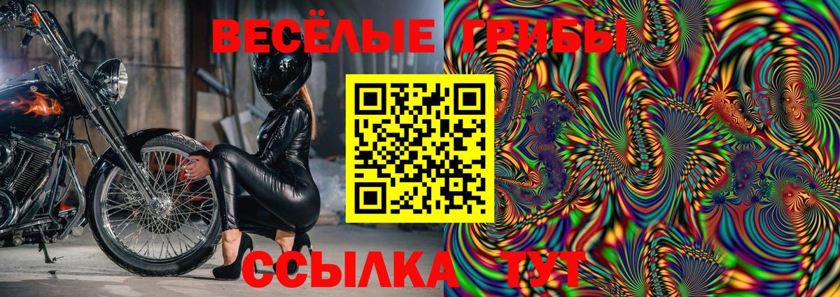 Галлюциногенные грибы прущие грибы Еманжелинск