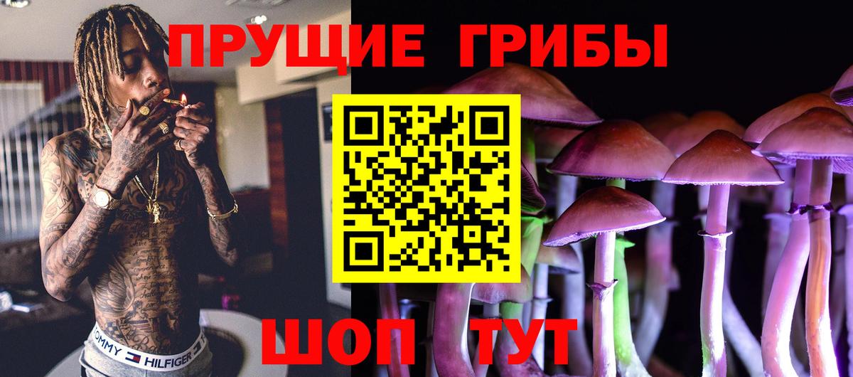 Еманжелинск  Псилоцибиновые грибы Psilocybe  Вход с VPN 
